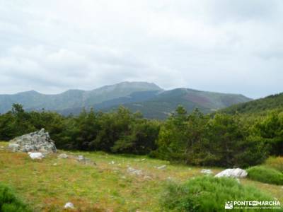 Pico del Lobo - Sierra de Ayllón; parque natural redes nacedero urederra vacaciones en agosto fotos 